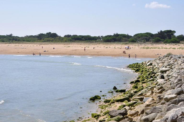 A 80M De La Plage De Plaisance Pour 8 Personnes Сен-Жорж-д'Олерон Экстерьер фото